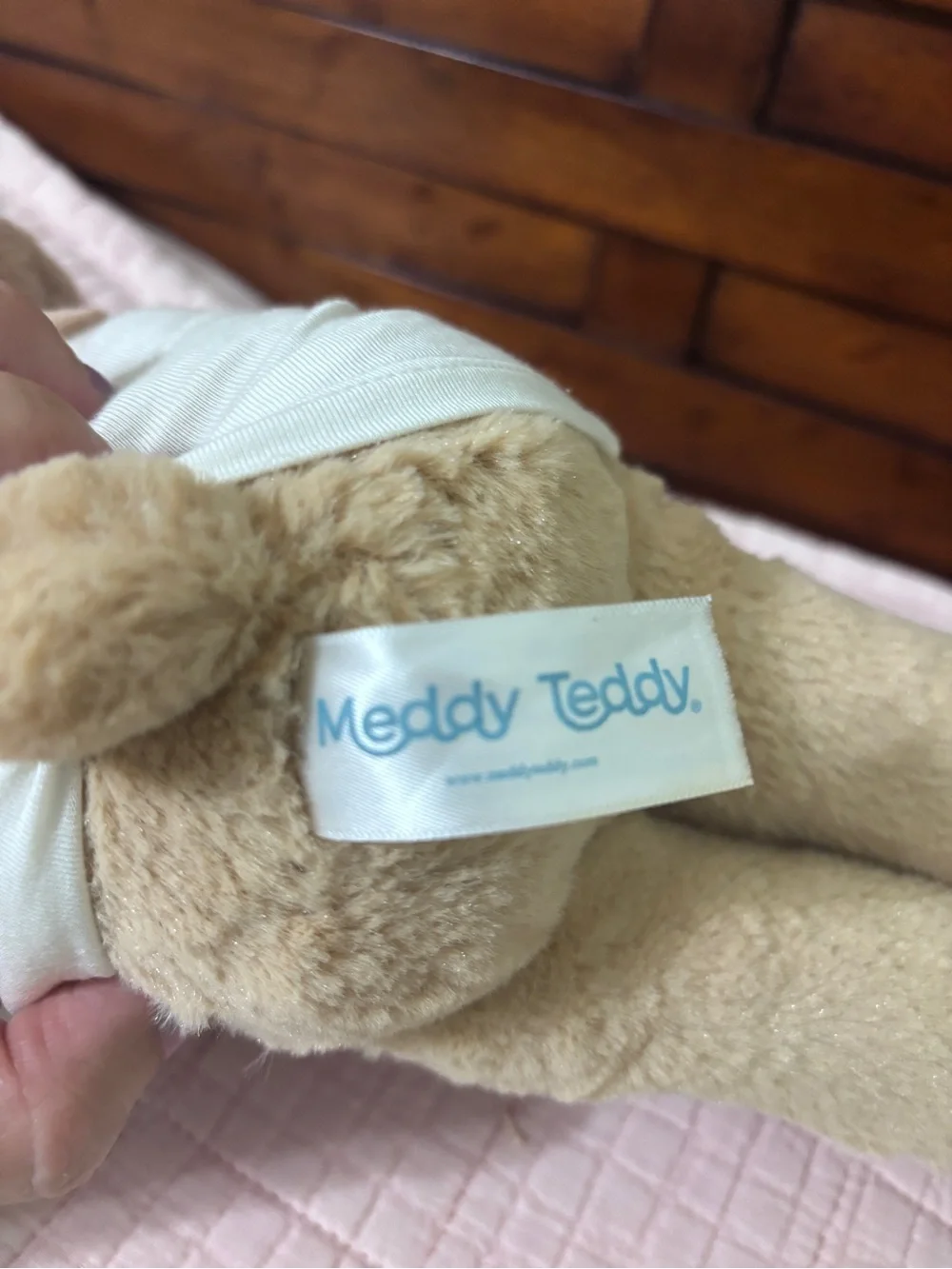 Meddy Teddy meddy teddy